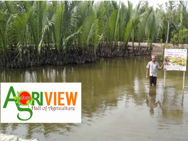 Mangrove Based Aquaculture protects our environment and farmers