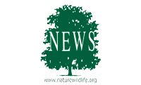 partner-logo