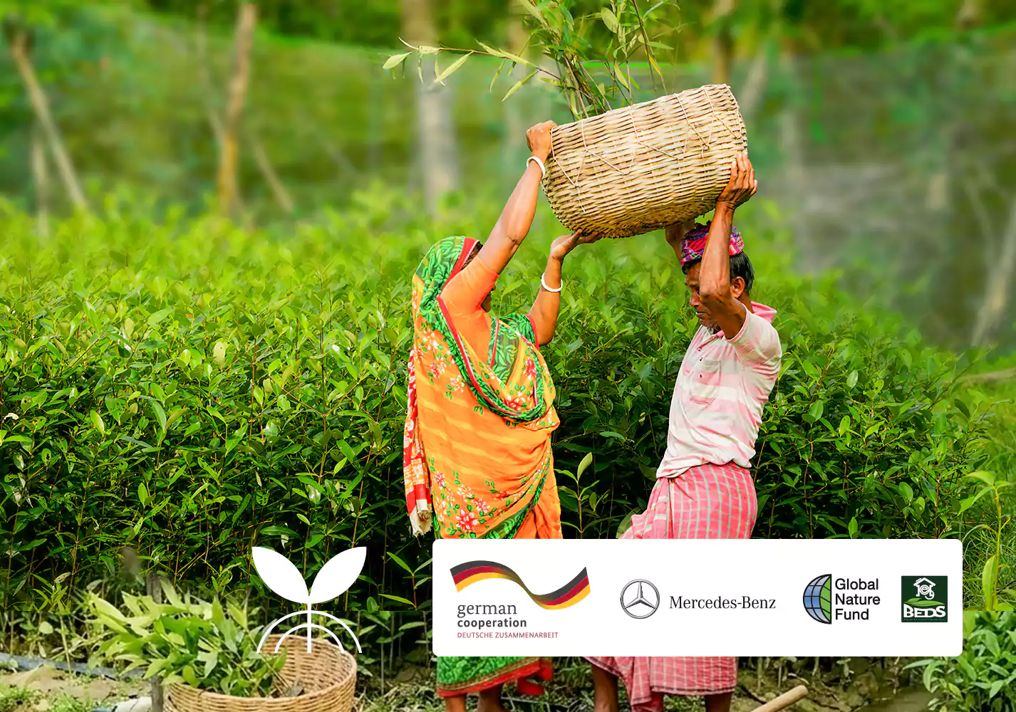 Mangrove protection and integrated ecosystem management to strengthen local communities in South and Southeast Asia